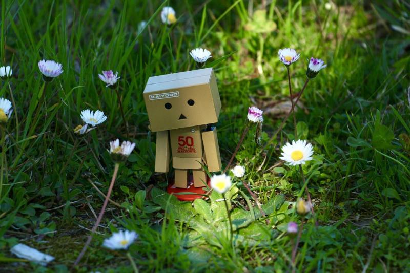 Picture Writing Prompts: Cardboard Robot Small cardboard robot in a field of daisies (Picture Writing Prompts)