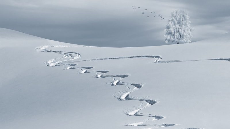 Picture Writing Prompts: Winter Scene Snow-covered field with a winding trail of footprints