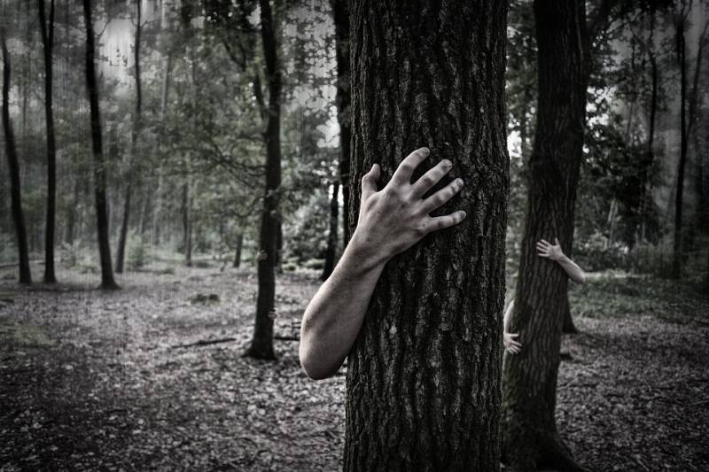 Picture Writing Prompts: Fear Forest Black and white photo of tree trunks with arms and hands reach out from behind them (Picture Writing Prompts)