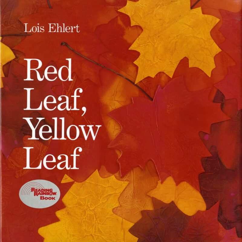 Version 1.0.0 red leaf yellow leaf book cover , books about trees