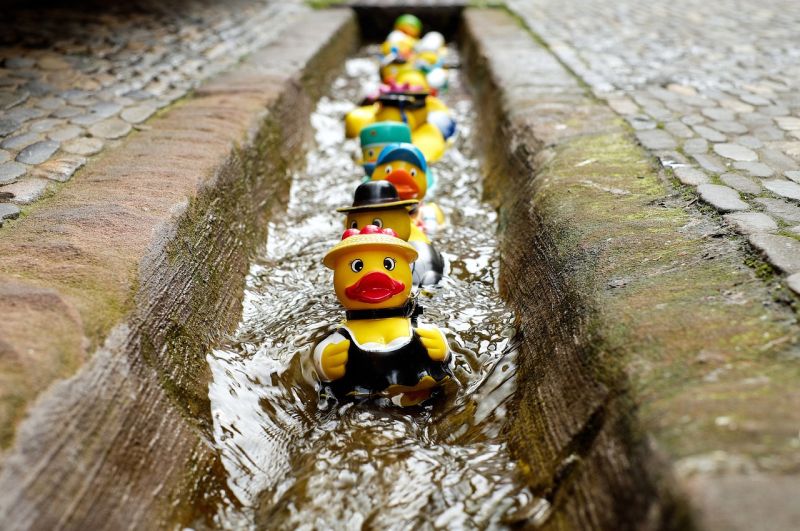 Writing Prompts: Rubber Ducks A row of rubber ducks in various costumes floating down a water-filled gutter