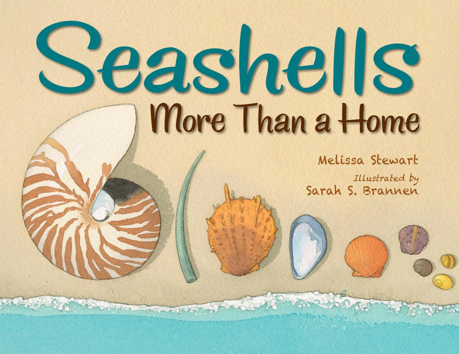 Seashells More Than a Home Seashells More Than a Home- summer read alouds