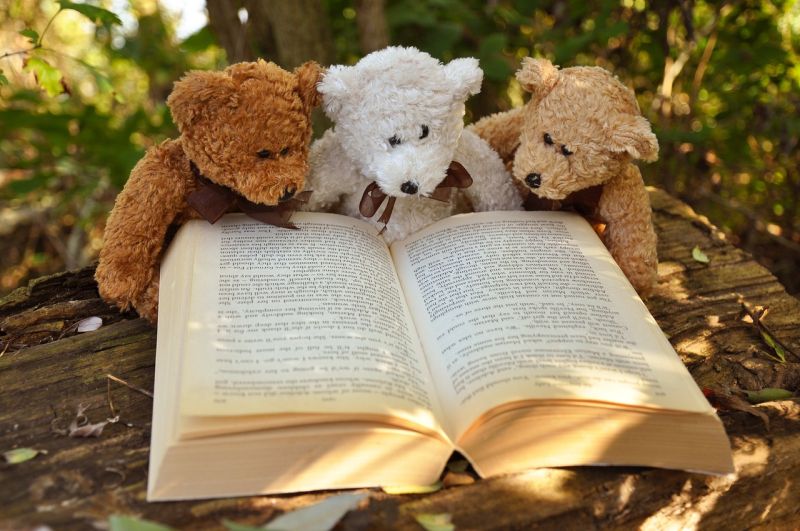 Writing Prompts: Teddy Storytime Three teddy bears posed to look as if they're reading a book