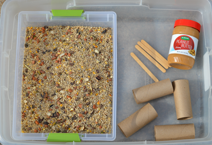 toilet roll bird feeder a bin filled with birdseed on a table next to a jar of peanut butter, craft sticks and cardboard paper towel rolls-recycling activities