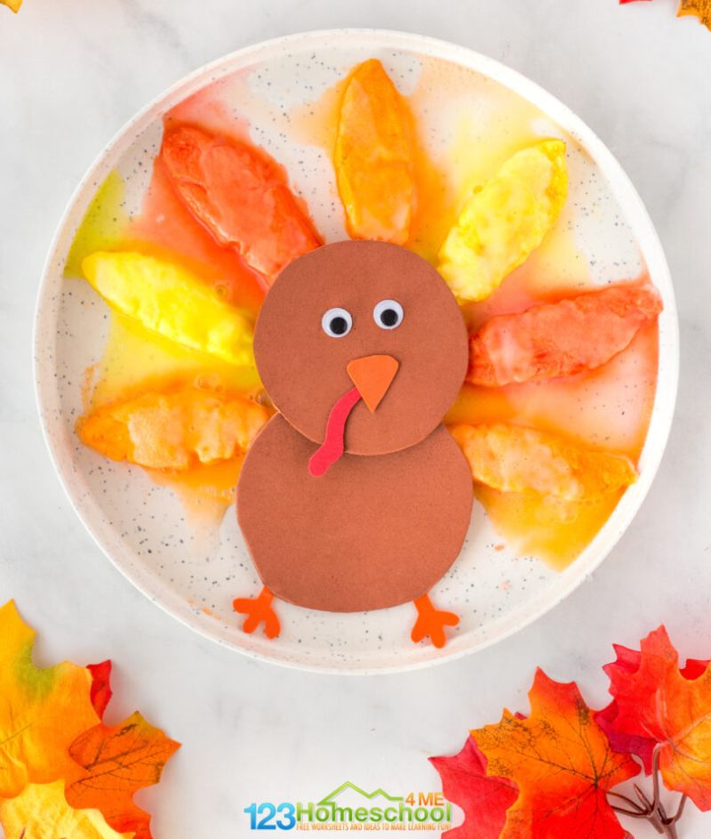 turkey-feather-experiment Construction paper turkey with feathers made of baking soda, foaming after vinegar has been added