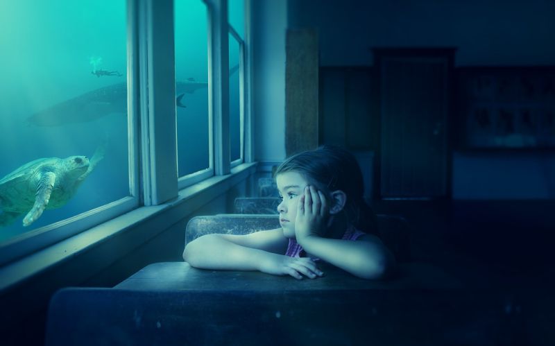 Writing Prompts: Underwater Child A child sitting at a desk, looking out the window at fish swimming by