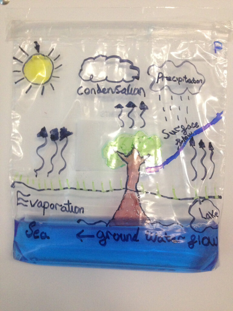 Water Cycle Bag water cycle drawing on a ziploc bag for water activity
