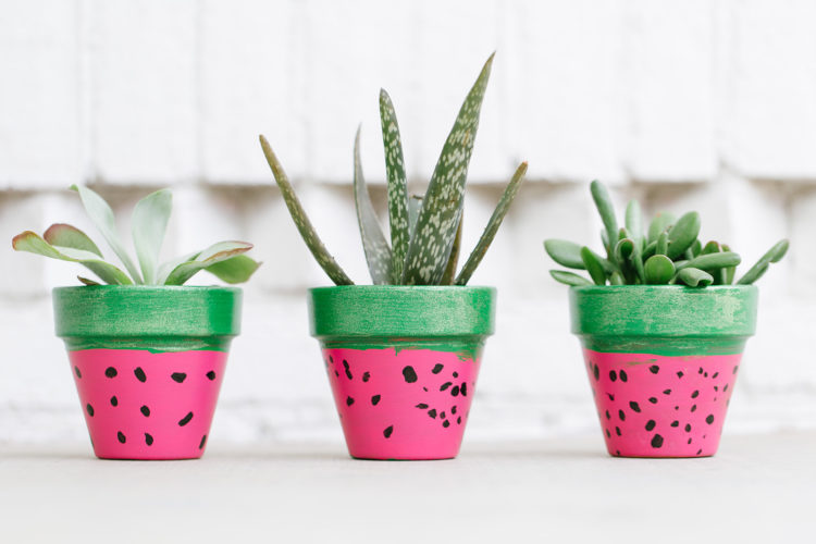 watermelon-plant-pots Tiny terracotta pots of succulents are painted green on top and pink on the bottom to resemble a slice of watermelon as an example of summer crafts for kids